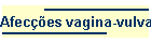 Afeces vagina-vulva