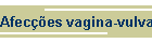 Afeces vagina-vulva